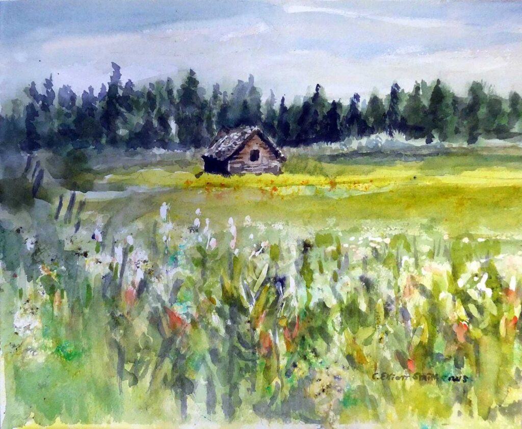 A Cabin's Field
