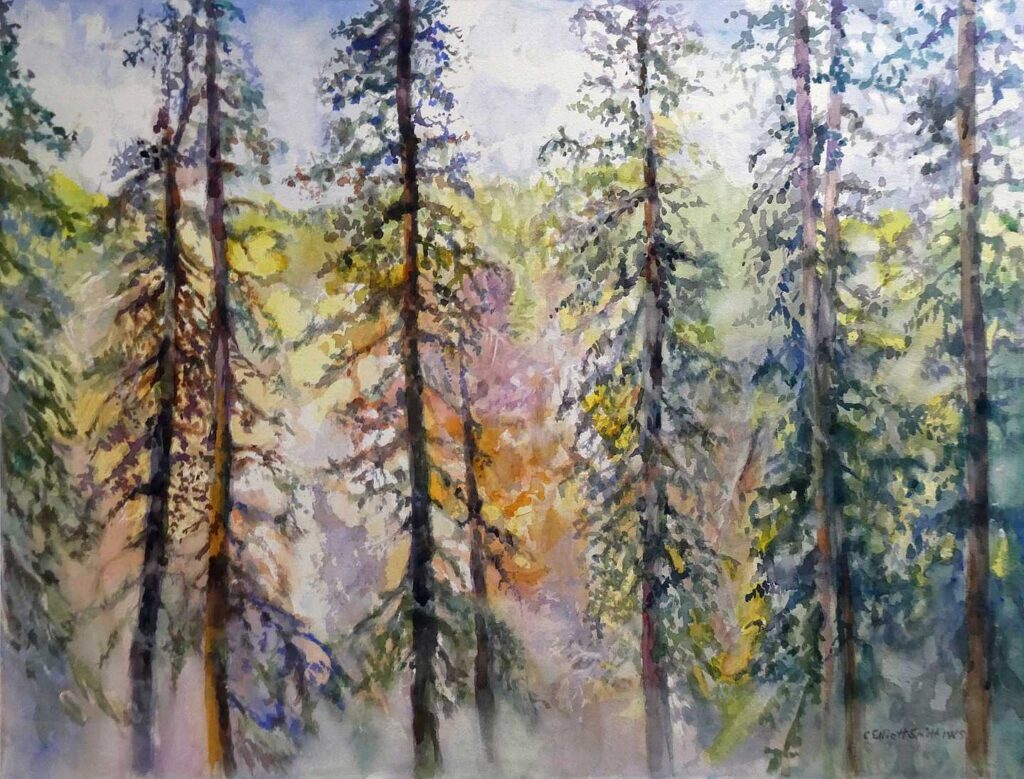 Looking Through Trees