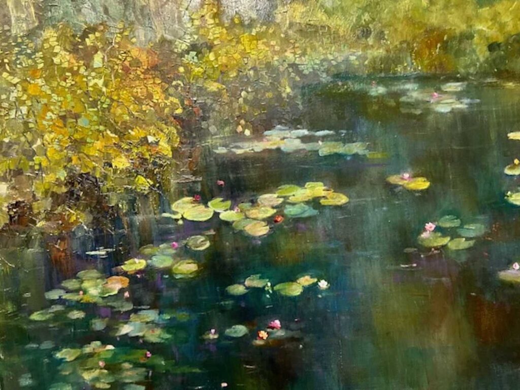 Lily pond