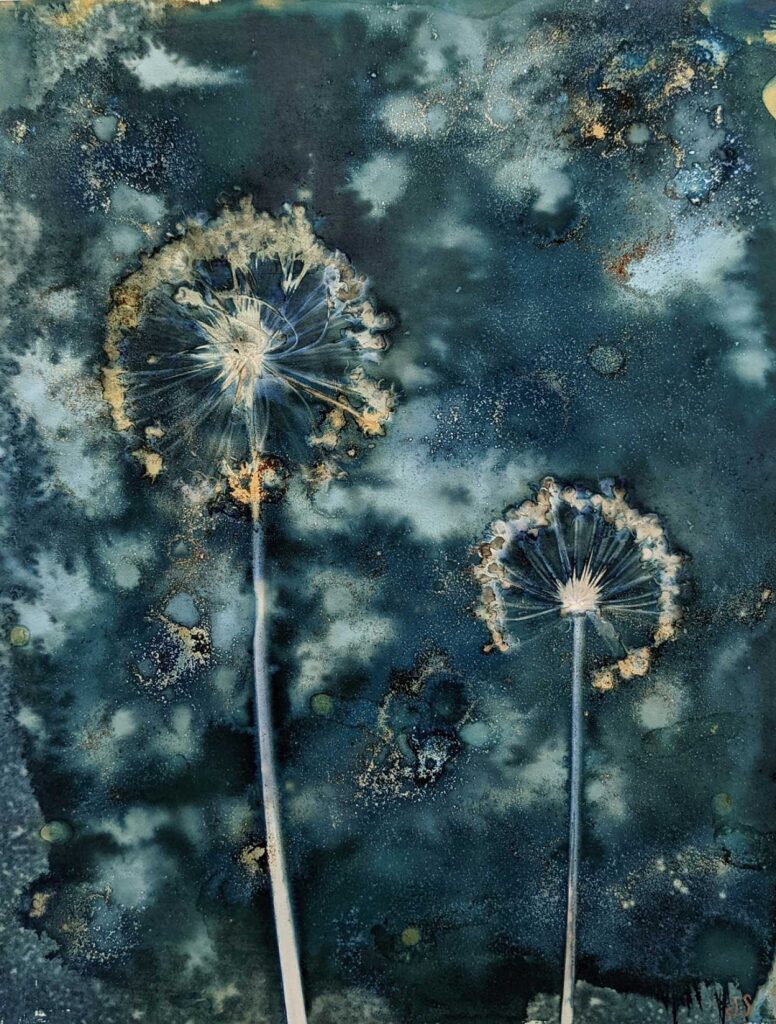 Two Allium