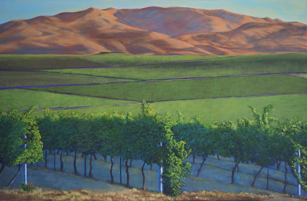 Sawtooth Vinyard