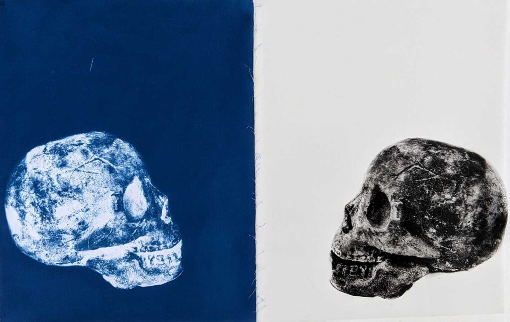 What Do You Have to Lose