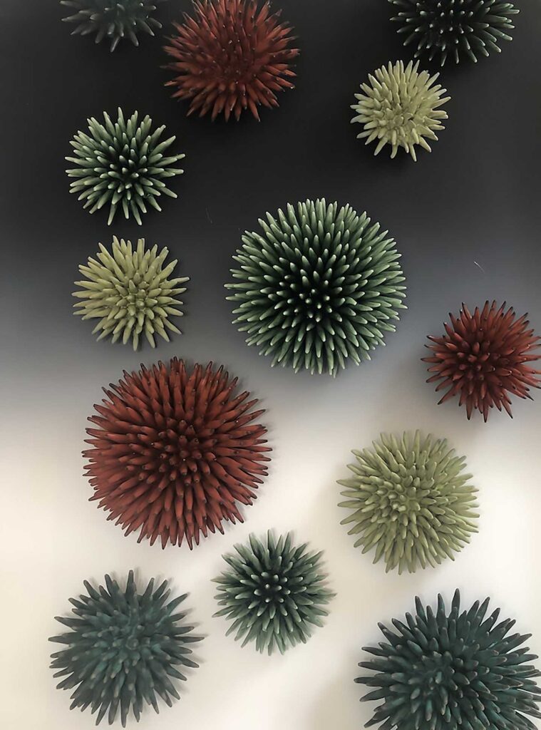 Urchins