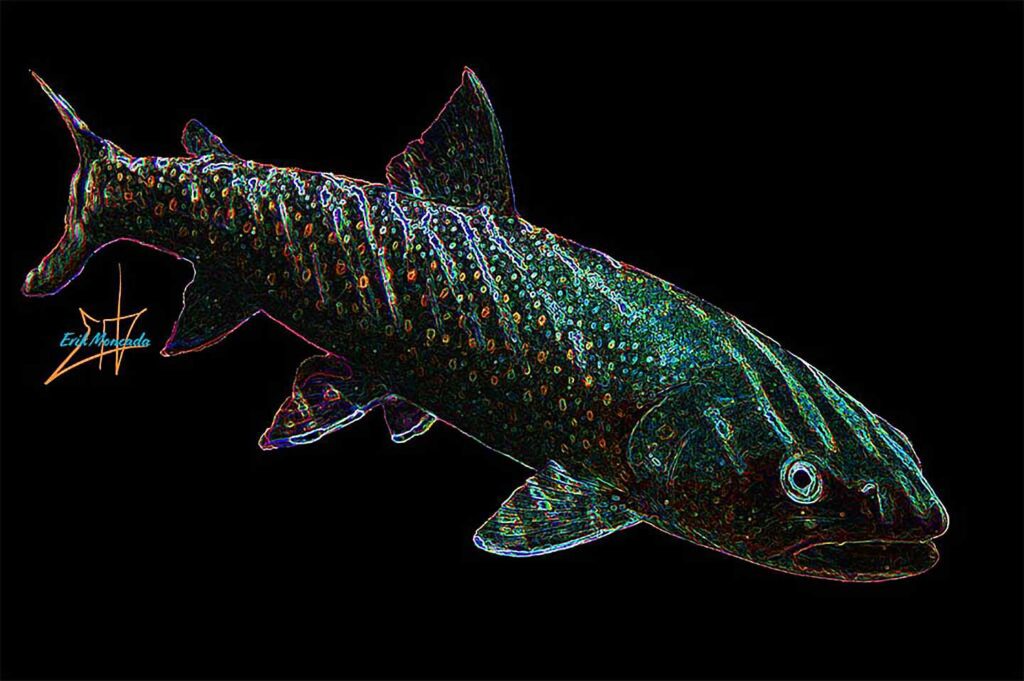 Night Hatch, Bull Trout