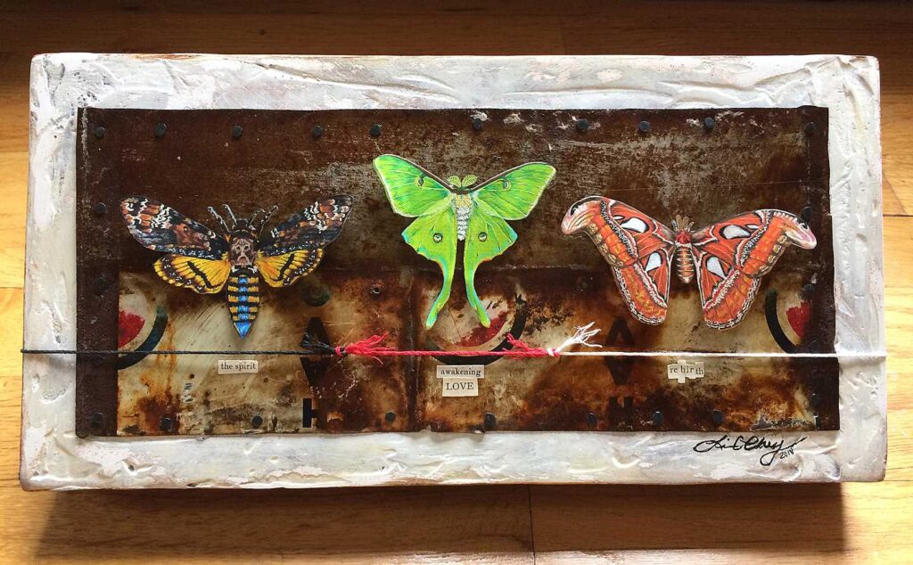 Out From the Shadows