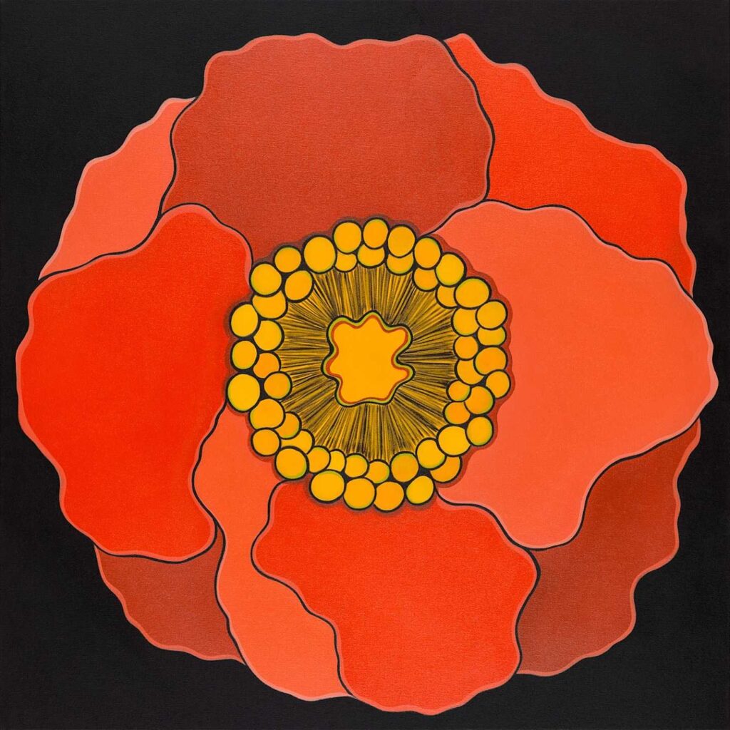 Poppy
