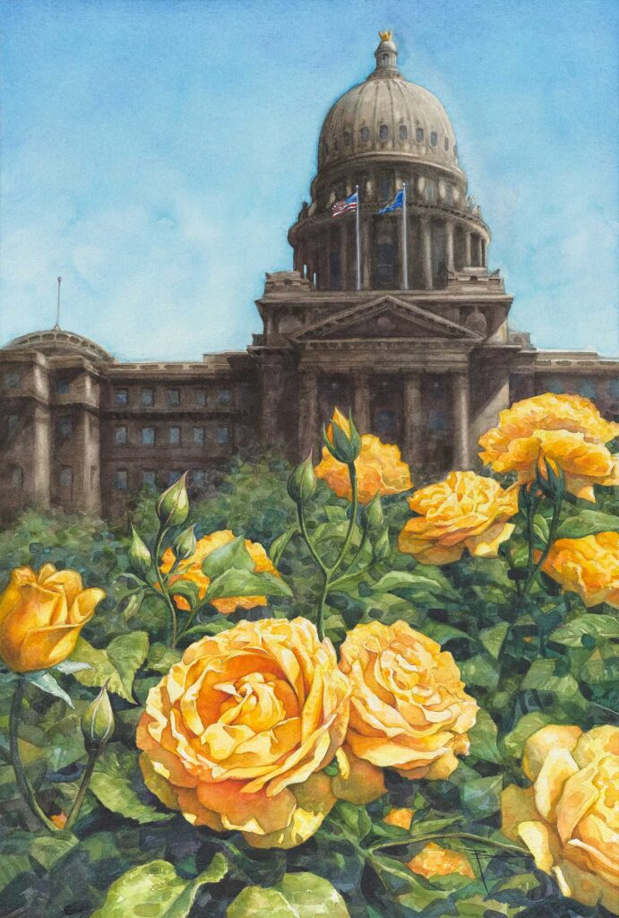 Laws and Roses