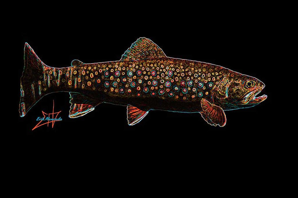 Night Hatch, Brook Trout