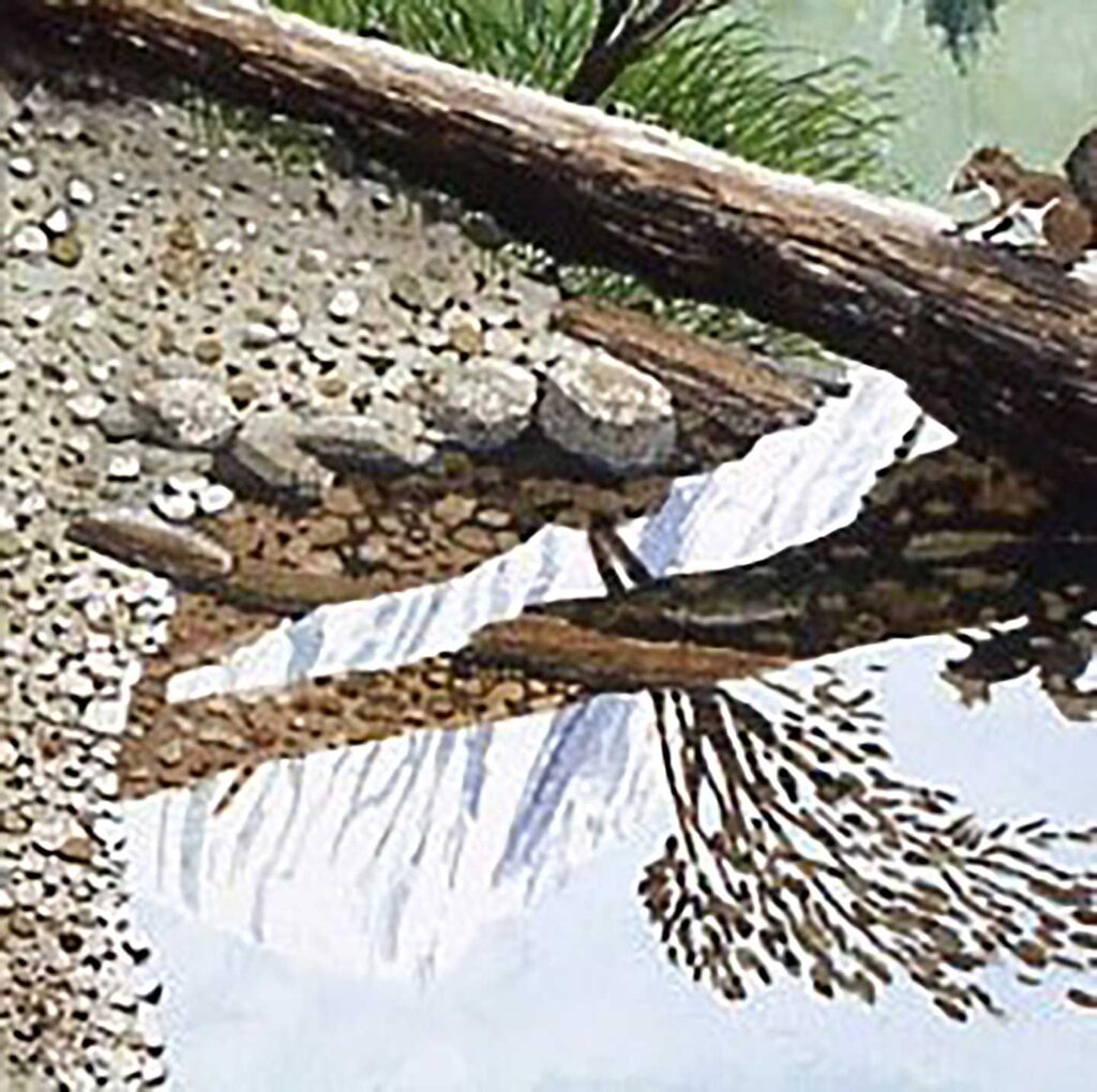 Peace at Trinity Lakes