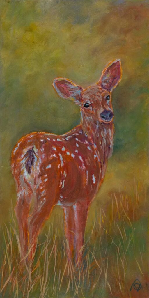 Fawn