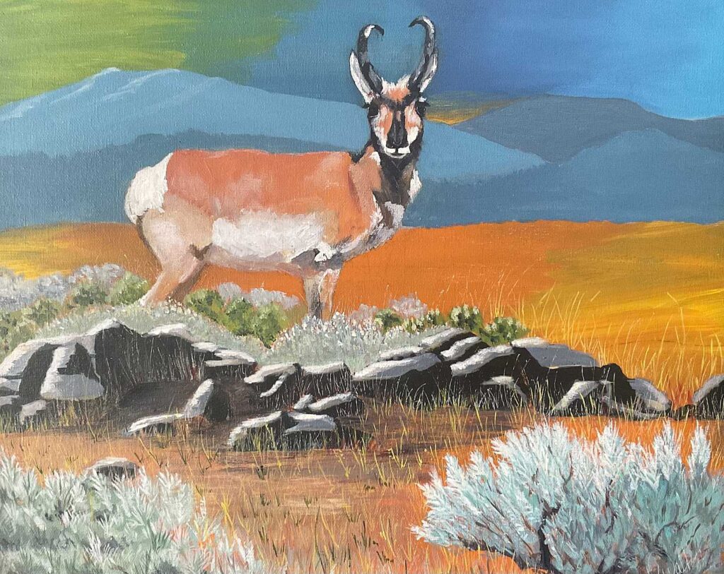 Pronghorn, Nature Well Done!