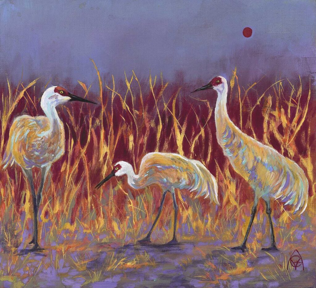 Sandhills In Morning