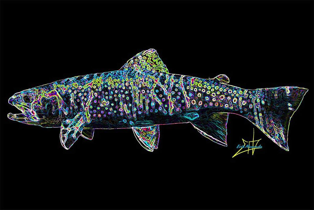 Night Hatch, Brook Trout