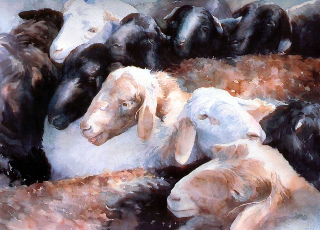Baaa Cantata