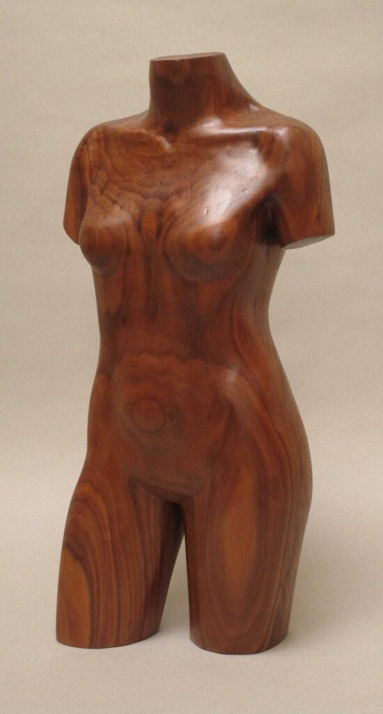Dark Torso