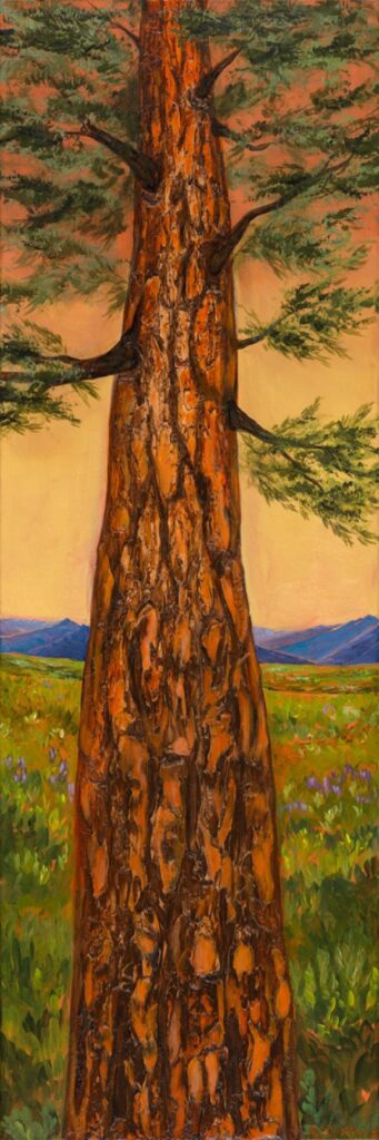 Wisdom bark