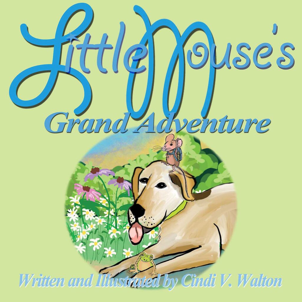 Little Mouse’s Grand Adventure