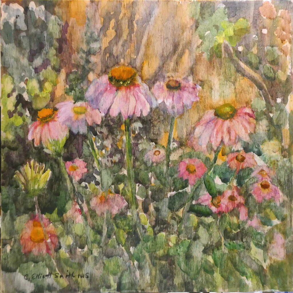 Coneflowers in My Garden