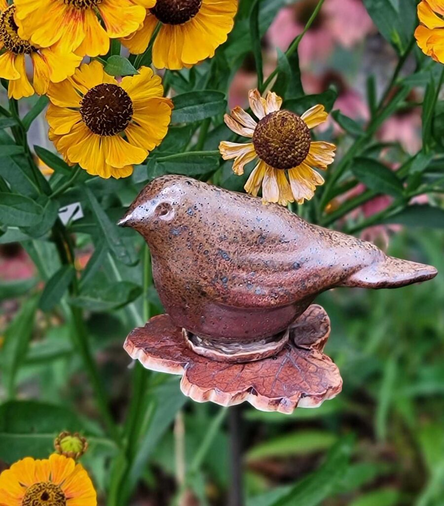 Sparrow
