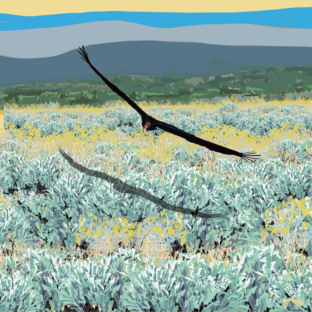 Soaring Over Sagebrush