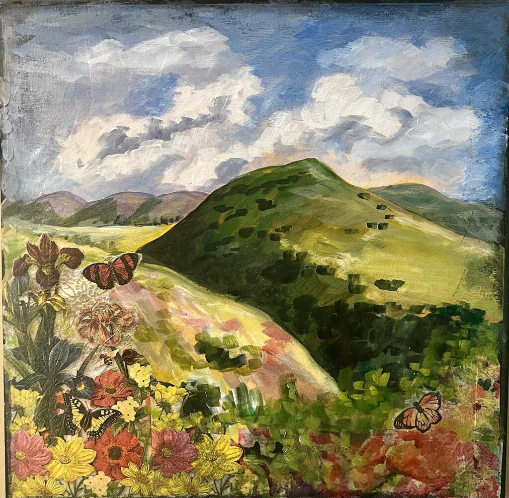 Spring in the Hills