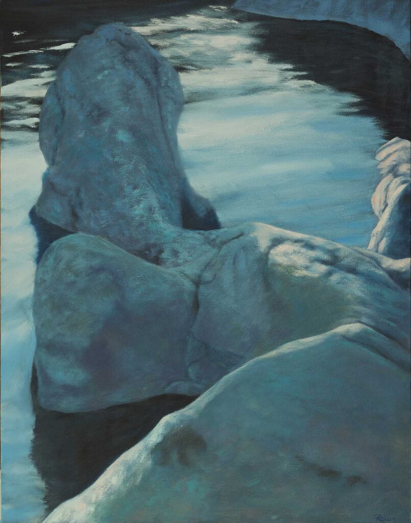 Main Salmon Shoreline Rocks