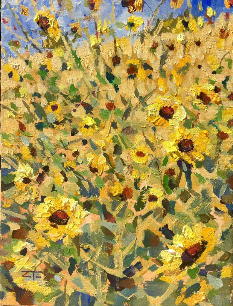 Chief Eagle Eye Reserve