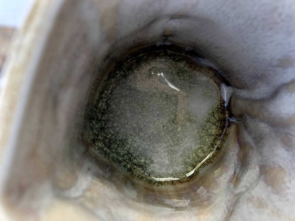 Soda Fired Mug - Detail