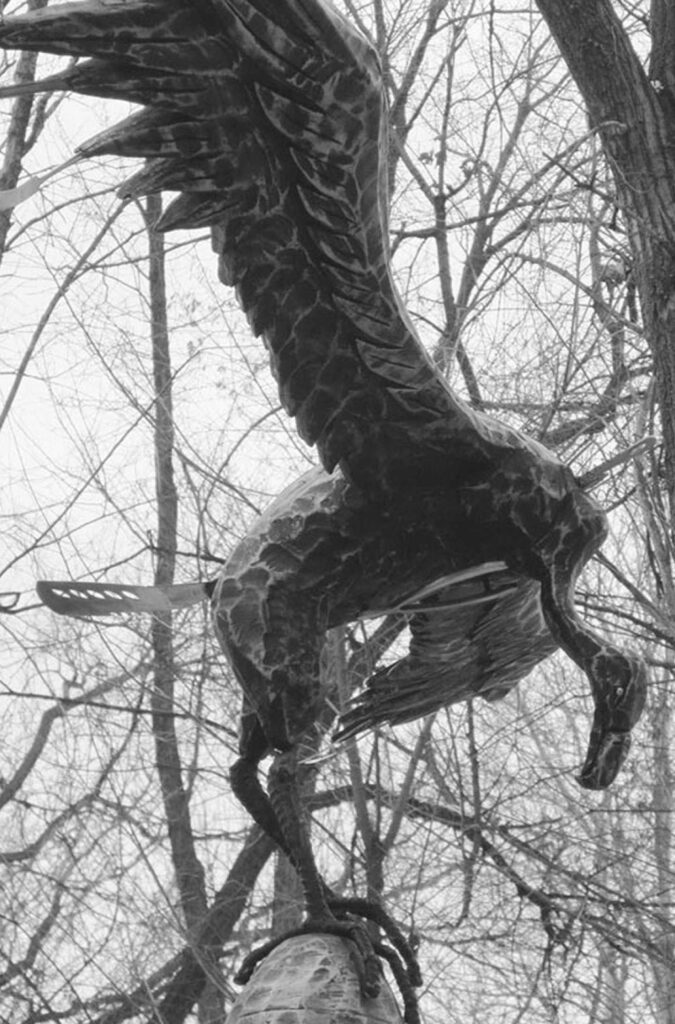 FURCULA at Zoo Boise