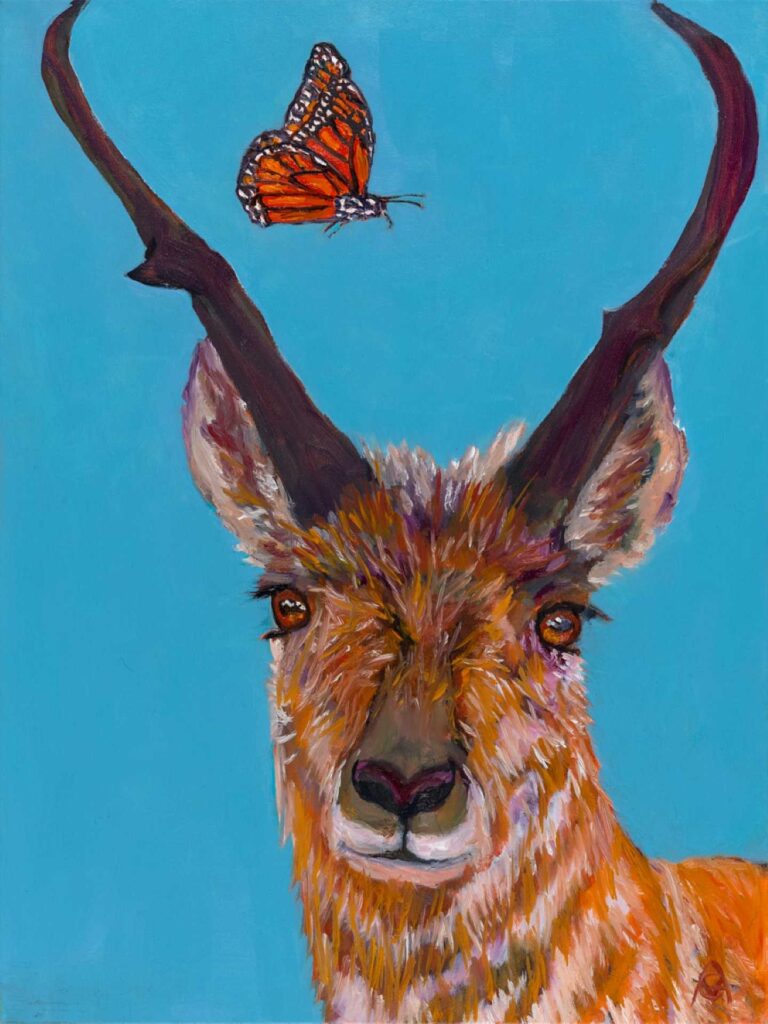 Monarch and Pronghorn