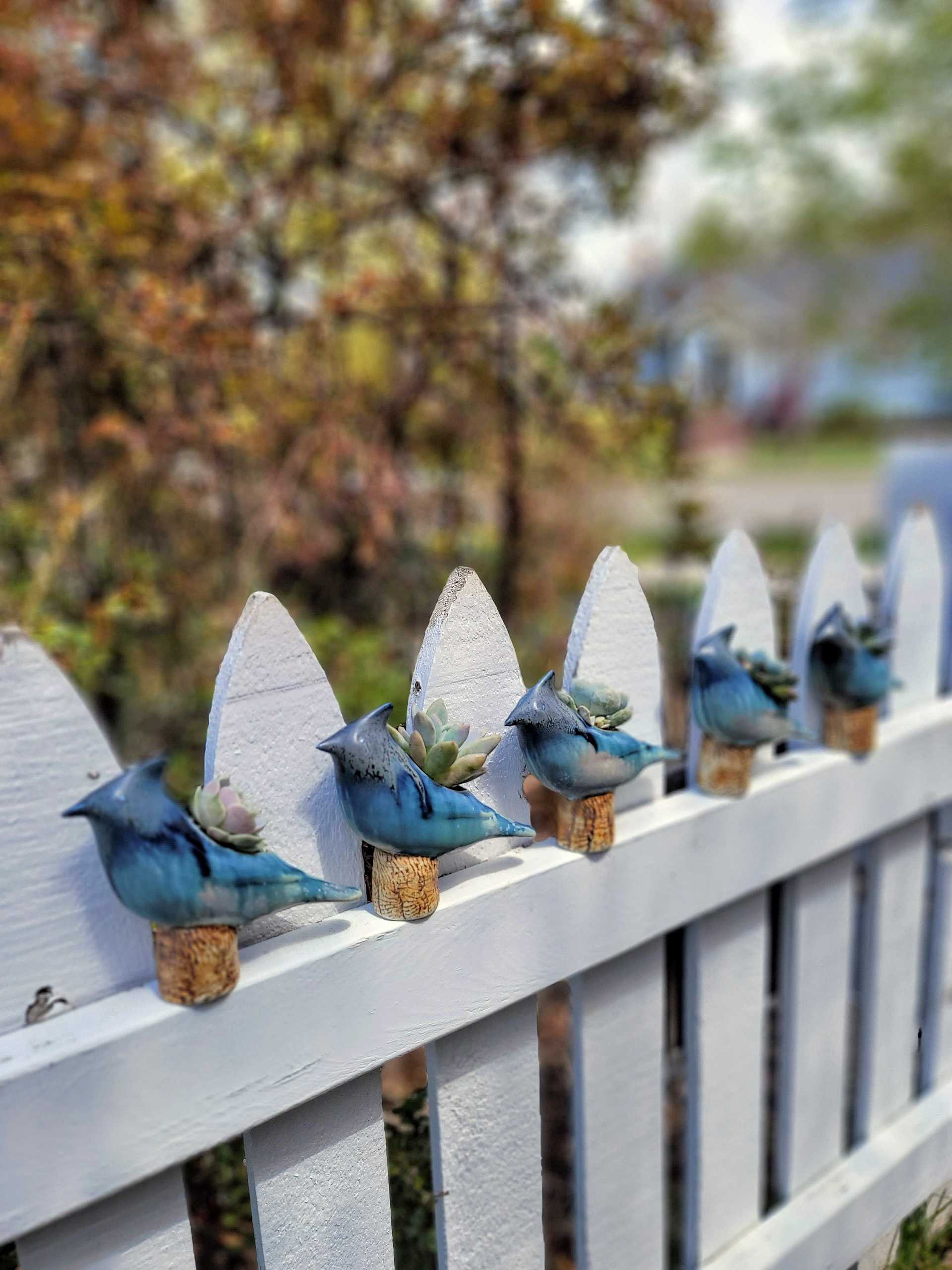 Evy Jenkins - Hero Image