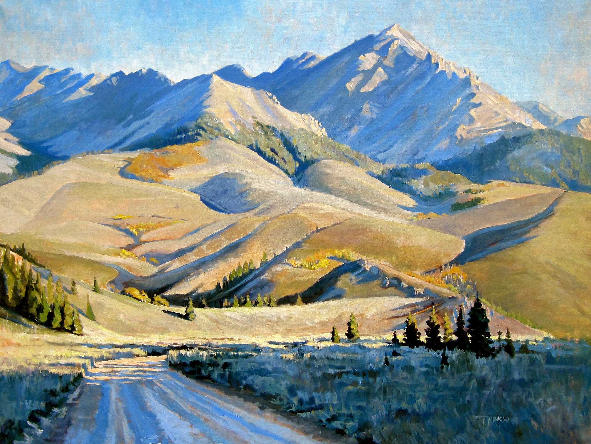 Zack Thurmond - Hero Image