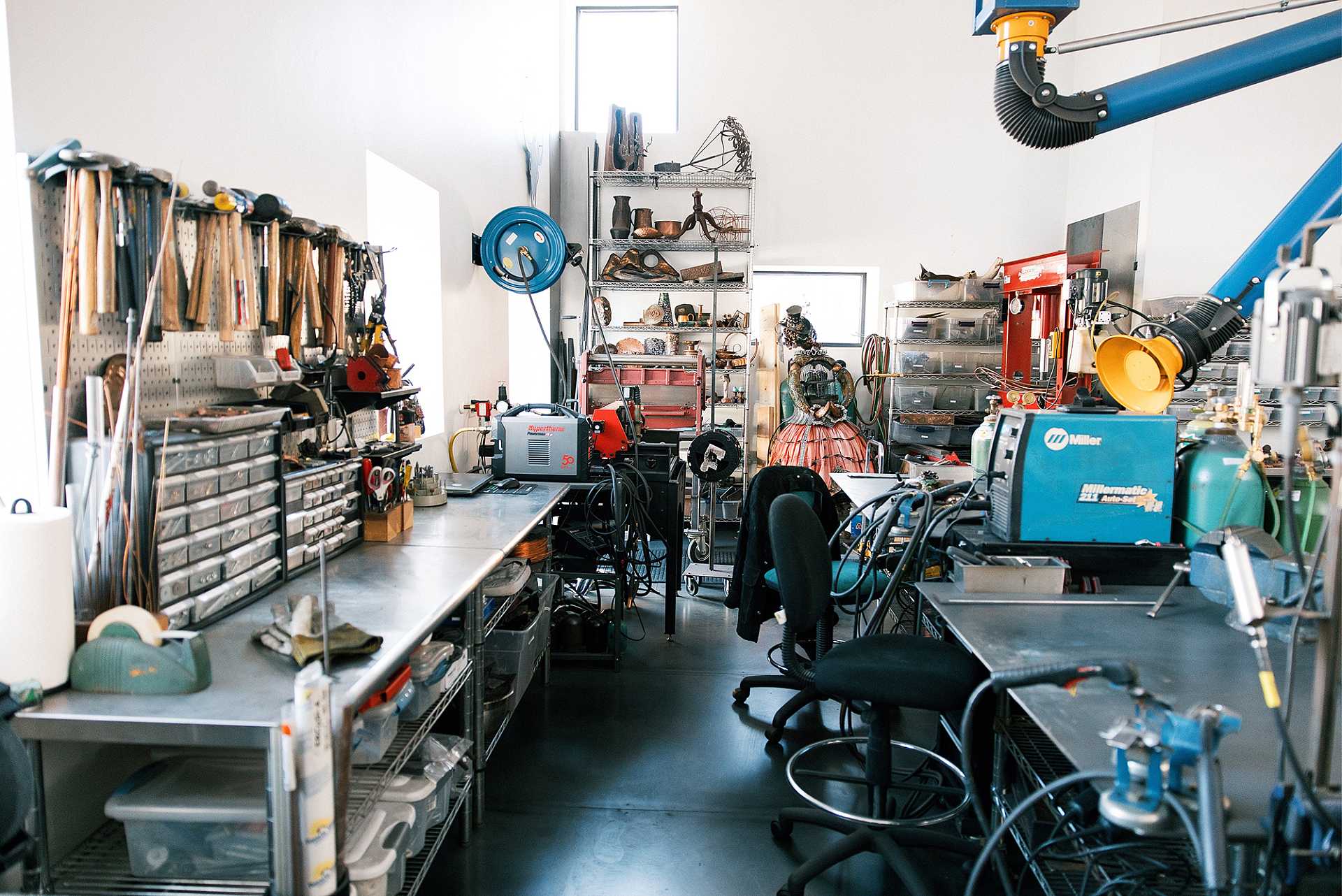 Delia Dante - Hero Image