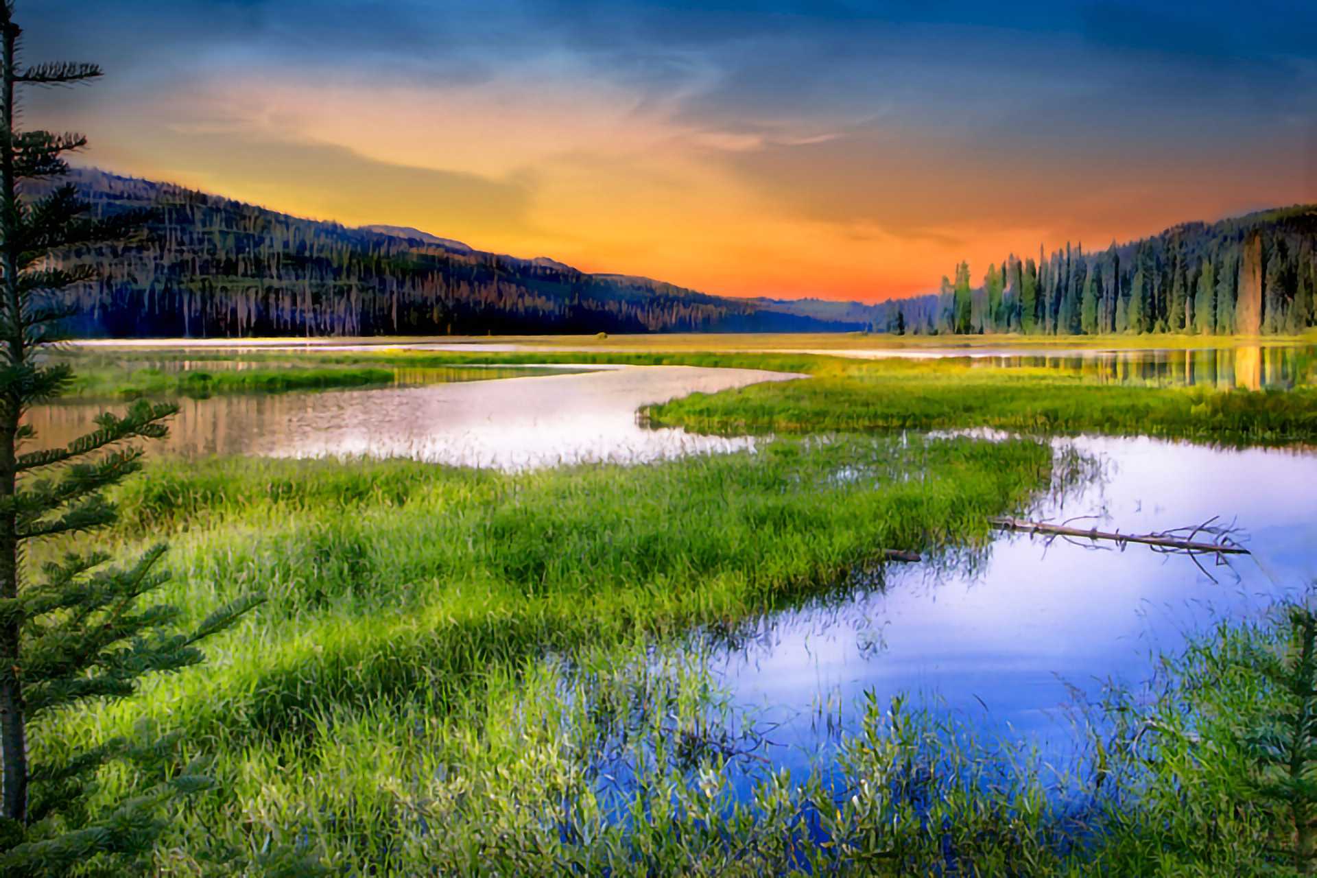 David R Day - Hero Image