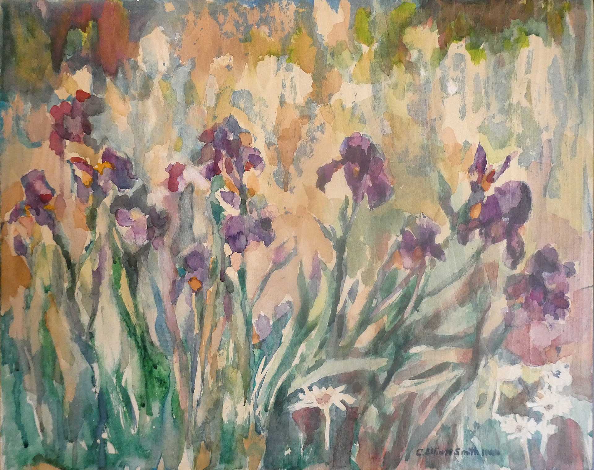 Carol Elliott Smith - Hero Image