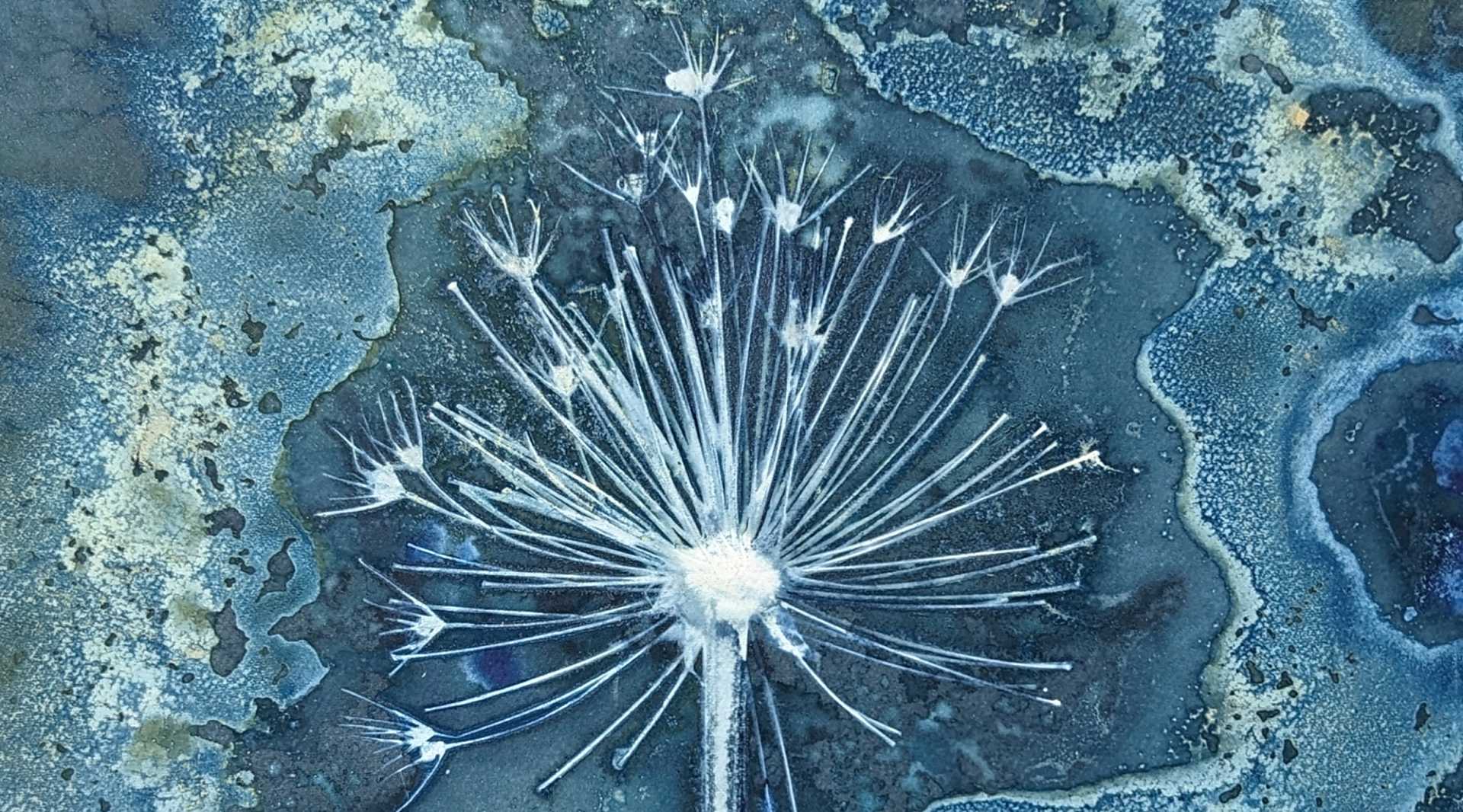 Jessie Swimeley - Hero Image