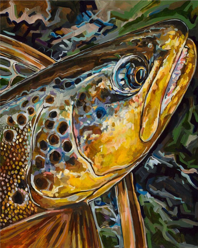 Salmo Truta