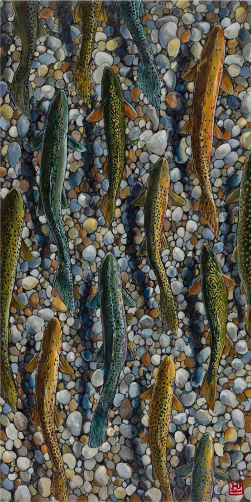 Trout Dreams II