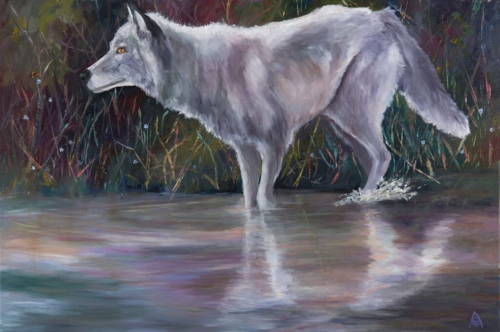 Wolf Reflections