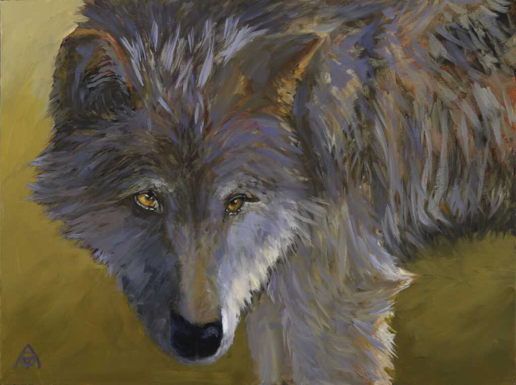 Golden Wolf