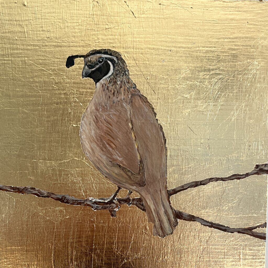 Calfornia Quail