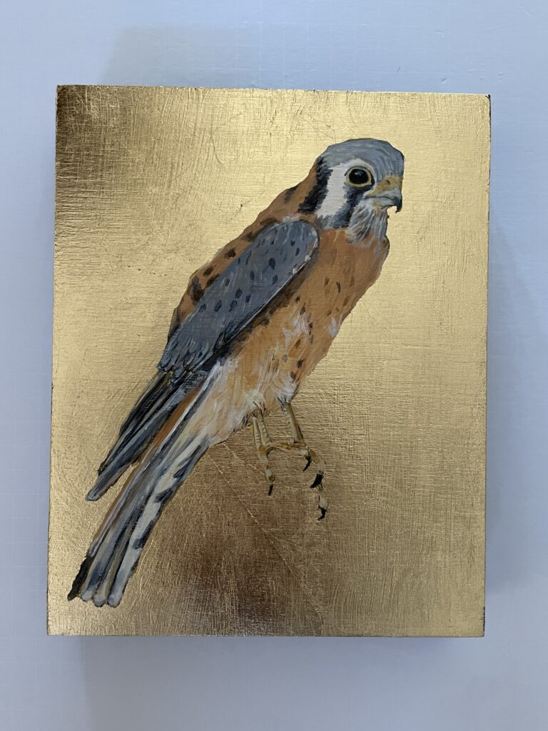 Kestrel