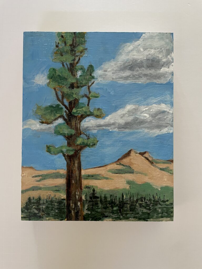 Sequoia