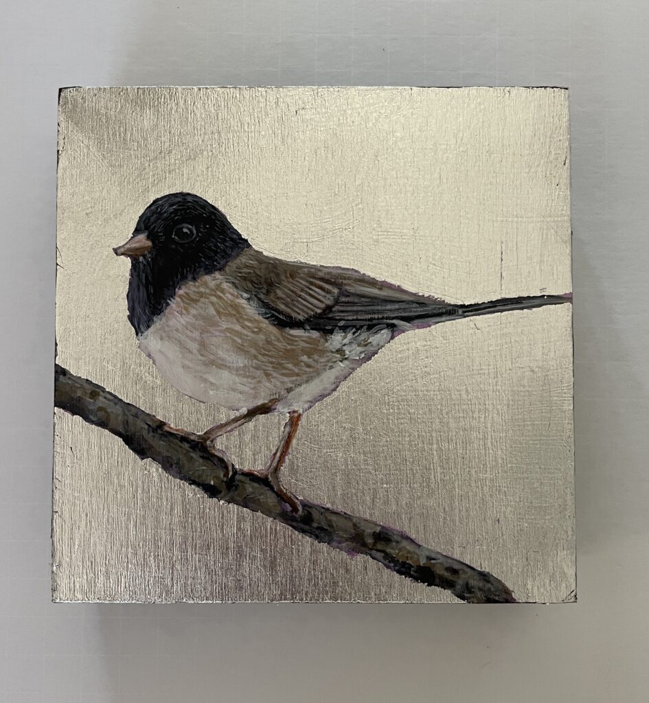 Junco