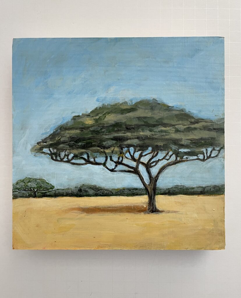 Acacia, Serengeti