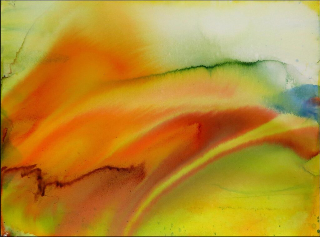 Opus-2-ink-on-canvas-40-inches-W-30-inches-H.jpg