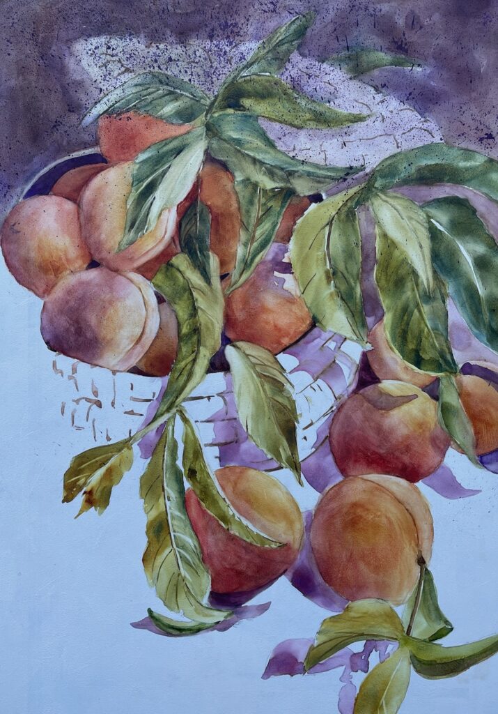 Peach-Harvest.jpeg