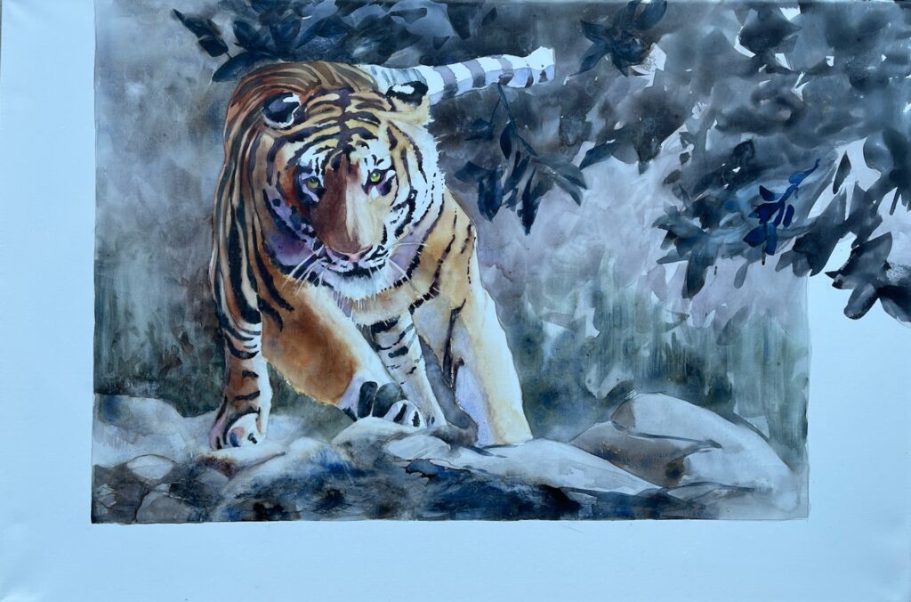 Tiger-Charge-canvas.jpeg
