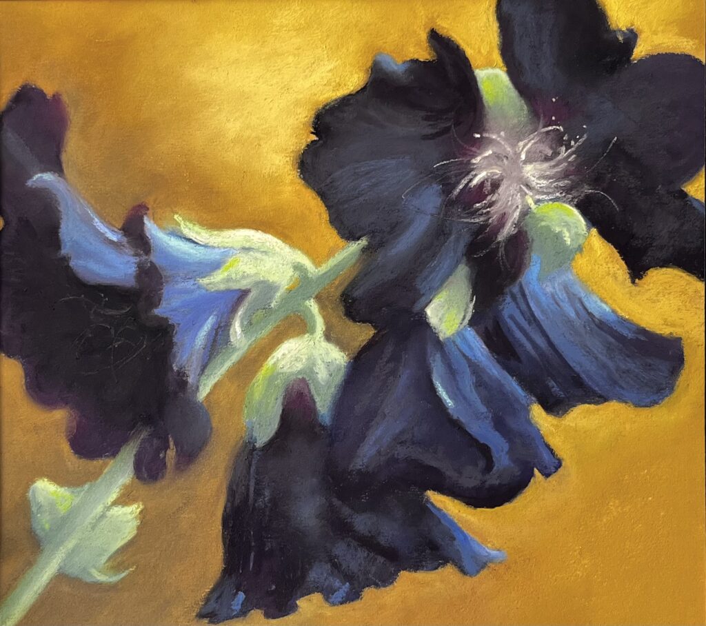Dark Hollyhocks 2