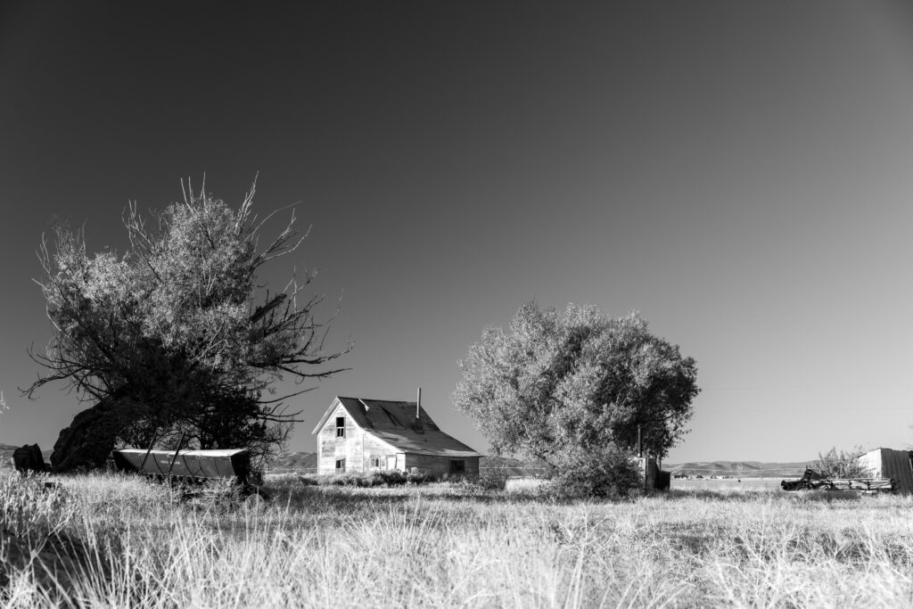 We once had milked cows before breakfast